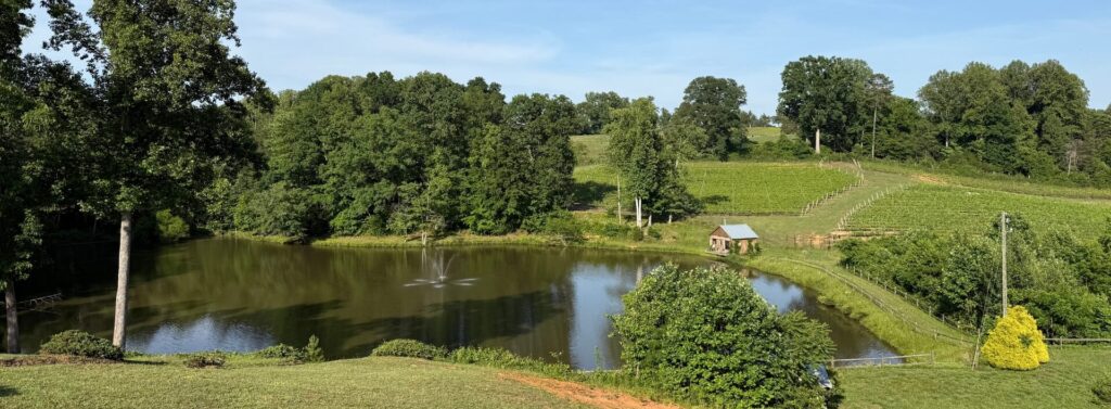 North Carolina Wine, I Was Wrong